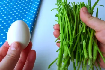 ساقه های جعفری را دور نریزید / طرز تهیه کوفته های رستورانی با جعفری و تخم مرغ