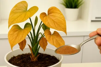 روش ارگانیک برای زنده کردن گیاهان مرده و برگ های زرد شده / همیشه جواب می دهد!