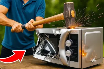 مایکروویو قدیمی دارید ؟ با این روش شوکه خواهید شد