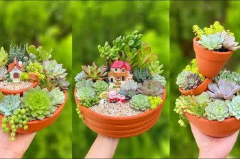 ایده خلاقانه برای تزئین گلدان و کاکتوس های رنگارنگ