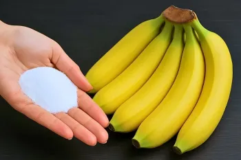 روش طبیعی نگهداری از موز بدون له شدگی / تا ماه ها موز تازه میماند