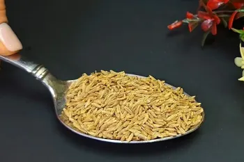 طرز تهیه دمنوش گیاهی لاغری فوری / لاغری سریع را طبیعی تجربه کن