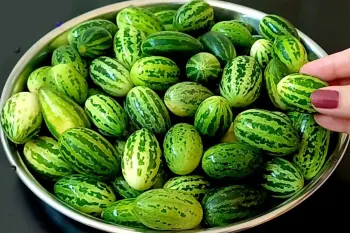 طرز تهیه کچری سابجی غذای معروف هندی