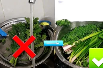 بهترین روش شستن سبزیجات برای له نشدن / سبزی را تا 1 ماه سالم نگهدارید