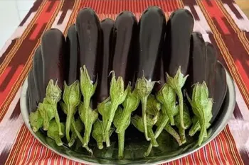 بهترین روش نگهداری از بادمجان / من در زمستان بادمجان نمیخرم