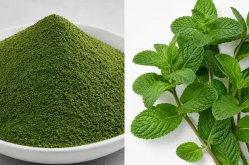 طرز تهیه پودر نعنا با رنگ روشن و بدون سیاهی و تلخی / روش خانگی آسان