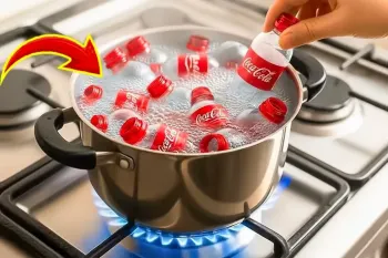 بطری های پلاستیکی را دور نیندازید! این ترفند جوشاندن شما را شگفت زده خواهد کرد