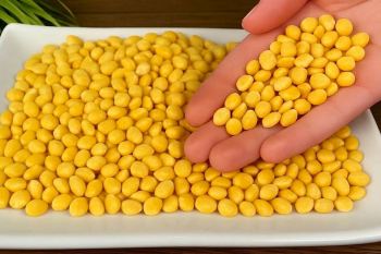 طرز تهیه غذایی خوشمزه و متفاوت با لپه و رب انار