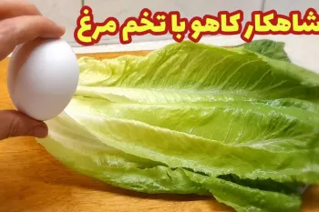 اینقدر خوشمزه و راحته که هر روز میتونی درستش کنی سریع و متفاوت