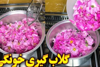 ساده ترین روش گلاب گیری در خانه