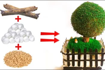 آموزش درست کردن سبزه مدلدار