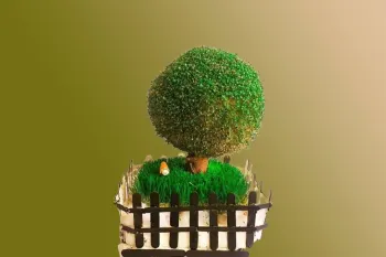 آموزش درست کردن سبزه مدلدار