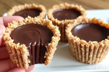 سریع ترین دسر شکلاتی خانگی بدون پخت! بدون آرد یا ژلاتین!