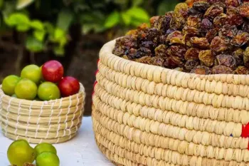 خشک کردن گوجه سبز به روش سنتی تبریزی