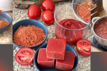 بهترین سس و پودر گوجه فرنگی و روش نگهداری آن درازمدت / دیگه رب نمیخری