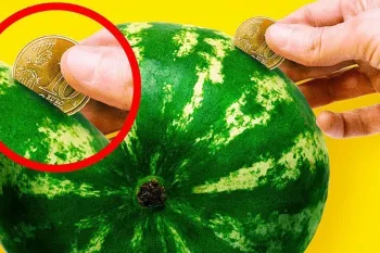روش های تشخیص هندوانه، طالبی و خربزه رسیده در ۳ سوت
