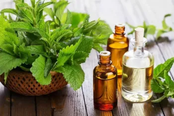 روش تهیه روغن نعناع و خواص بی نظیرش