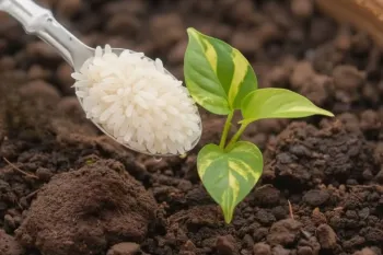 معجزه ای طبیعی برای رشد و گلدهی بی وقفه