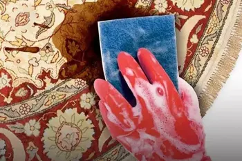 بهترین روش ها برای پاک کردن لکه چای از روی فرش