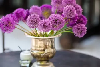 راهکارهای خانگی آسان برای افزایش ماندگاری گل طبیعی در خانه
