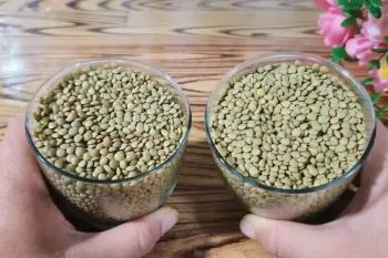 هر موقع هوس گوشت کنم اما نداشته باشم این غذا را میپزم،هزار برابر خوشمزه تر از گوشت