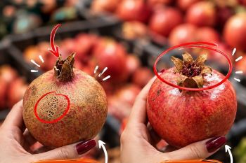 راهنمای انتخاب بهترین میوه و صیفی جات؛ با چند نکته ساده