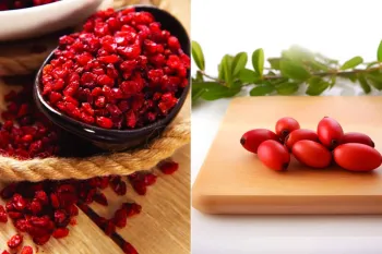 زرشک اناری و زرشک پفکی چه تفاوتی با هم دارند؟