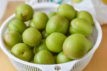 روش خشک کردن گوجه سبز به ساده ترین روش