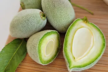 روش های نگهداری و استفاده بهینه از چغاله بادام