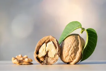مقایسه مغز گردو و گردو با پوست، کدام یک برای شما بهتر است؟