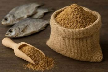 پودر ماهی غنی ترین منبع تامین پروتئین