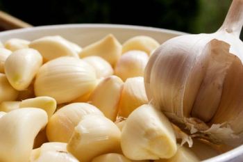 آیا سیر زرد شده قابل خوردن است؟