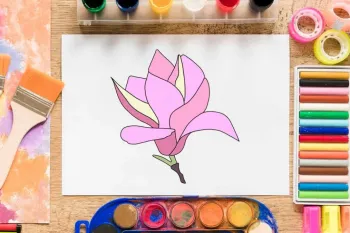 آموزش گام به گام نقاشی گل مگنولیا برای کودکان