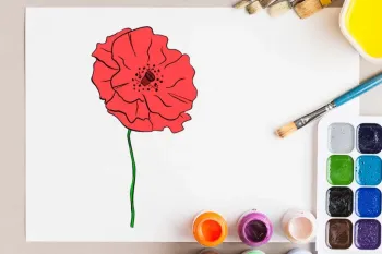 آموزش نقاشی گل خشخاش برای کودکان