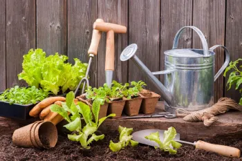 باغداری و زراعت: تفاوت ها، شباهت ها و اهمیت هر کدام