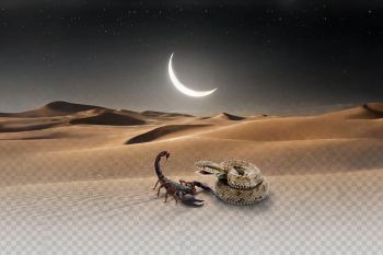 ضرب المثل های عقرب؛ از قمر در عقرب تا نیش طبیعت