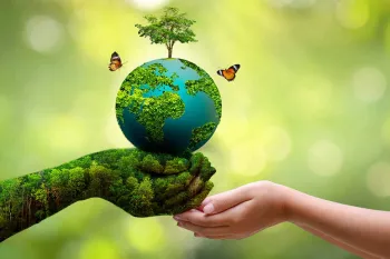روز جهانی درختکاری چه روزی است ؟