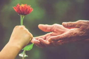 زیباترین مجموعه متن و پیام تبریک روز جهانی ادب و احترام