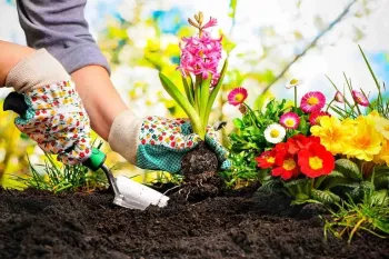 جدیدترین متن های روز جهانی باغبانی به انگلیسی همراه با ترجمه !