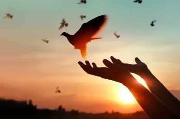 زیباترین متن های تبریک روز جهانی بخشش به انگلیسی