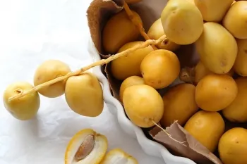 کالری خارک : ۱۰۰ گرم خرمای نارس چند کالری دارد ؟