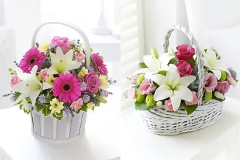 نحوه مراقبت و نگهداری از باکس و سبد گل برای افزایش طول عمر آن !