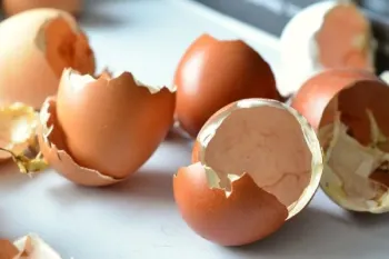 صدای خرد شدن پوسته تخم مرغ، باحال و شنیدنی !