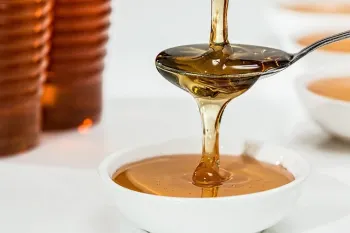 لیست انواع عسل : معرفی 83 مدل عسل مختلف و متنوع !