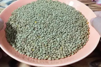 یک غذای مقوی و اقتصادی با عدس : تا حالا عدس رو اینجوری پختی ؟