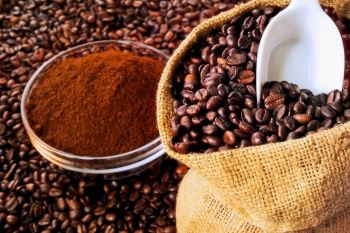 عربیکا یا روبوستا؛ کدام قهوه برای شما مناسب تر است؟