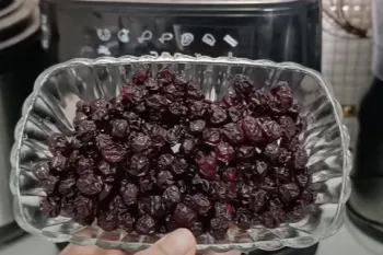 آلبالو خشک با سرخ کن بدون روغن / خشک کردن میوه با سرخ کن