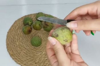 چگونه لکه سیاه پوست گردو را از دست پاک کنیم؟ ۳ روش پاک کردن سیاهی گردو