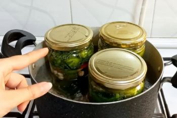 روش درست کردن خیارشور فوری و ترد در ۱۵ دقیقه