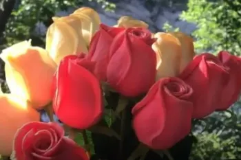 چگونه بفهمیم یه نفر عاشقامونه
